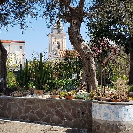 Villa Kalimera Sorrento Ngoại thất bức ảnh