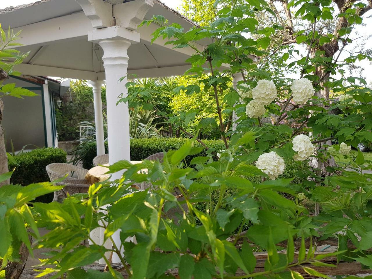 Villa Kalimera Sorrento Ngoại thất bức ảnh