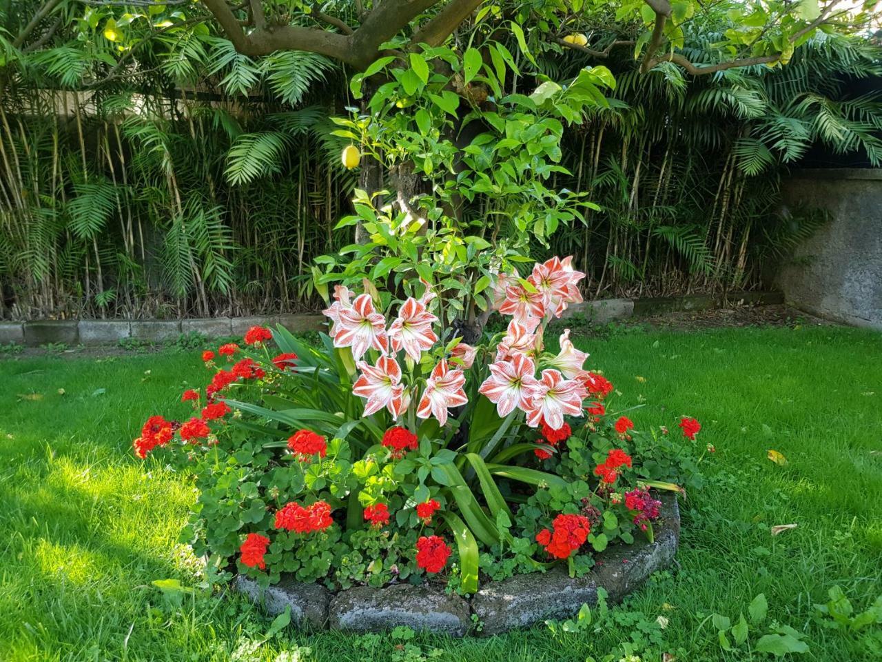 Villa Kalimera Sorrento Ngoại thất bức ảnh