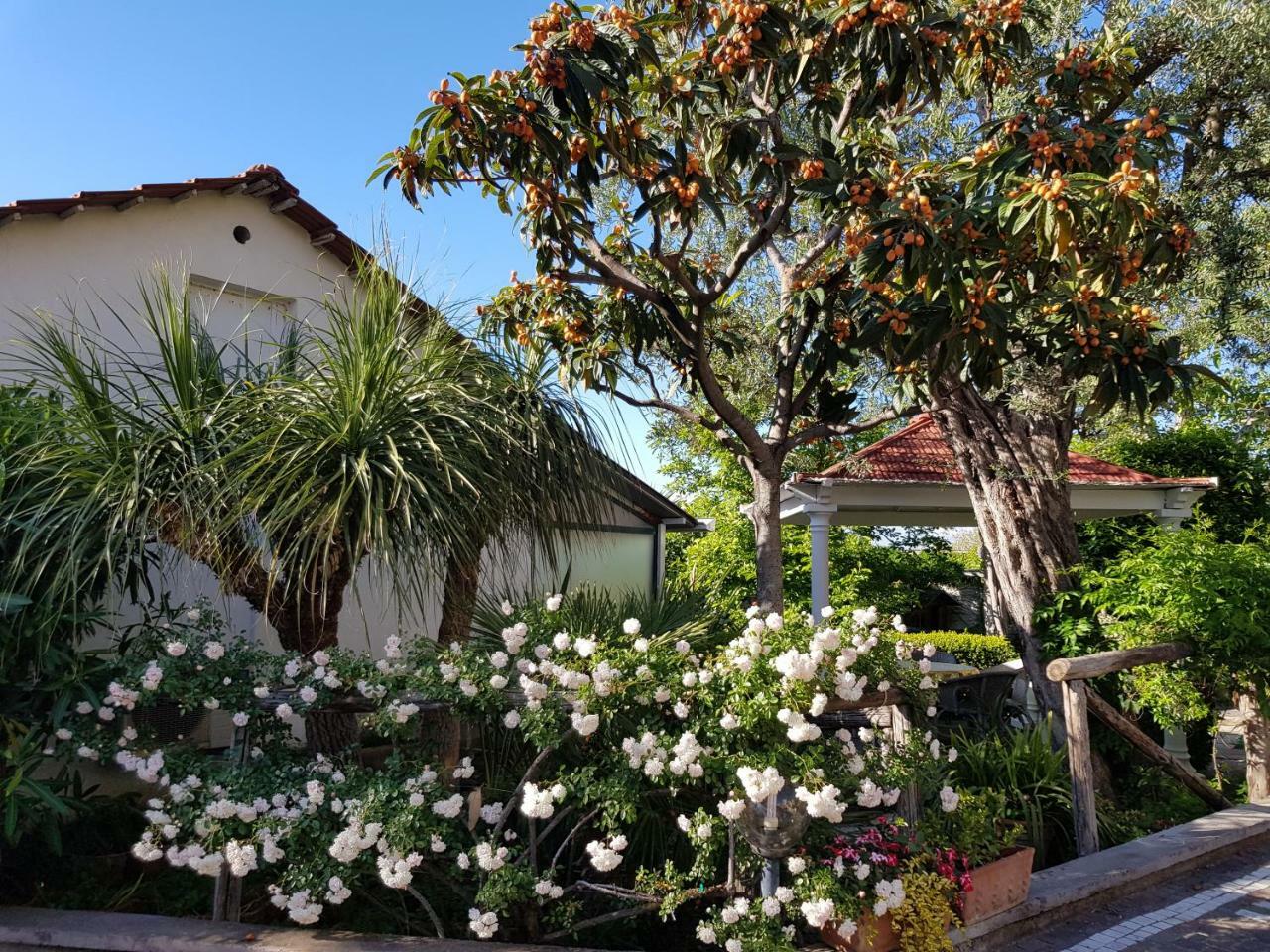 Villa Kalimera Sorrento Ngoại thất bức ảnh